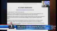 Noticia: VIDEO: Ecuador supervisará las embarcaciones chinas cerca de la zona económica exclusiva de Galápagos VIDEO: Ecuador supervisará las embarcaciones chinas cerca de la zona económica exclusiva de Galápagos