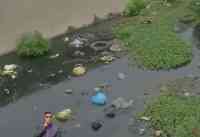 Noticia: VIDEO | Empresas limpian canal lleno de basura ante la denuncia de moradores de Mucho Lote 1, norte de Guayaquil VIDEO | Empresas limpian canal lleno de basura ante la denuncia de moradores de Mucho Lote 1, norte de Guayaquil