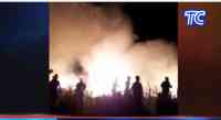 Noticia: VIDEO | Al menos 10 hectáreas de vegetación fueron consumidas por un incendio en reserva protegida de Manabí VIDEO | Al menos 10 hectáreas de vegetación fueron consumidas por un incendio en reserva protegida de Manabí