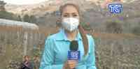 Noticia: Informe en vivo desde el cantón Chillanes: estas son las consecuencias que dejó la caída de cenizas del volcán Sangay Informe en vivo desde el cantón Chillanes: estas son las consecuencias que dejó la caída de cenizas del volcán Sangay