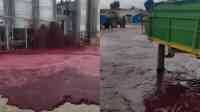 Noticia: VIDEO: Más de 50.000 litros de vino 'inundan' una bodega en España tras dañarse un depósito VIDEO: Más de 50.000 litros de vino 'inundan' una bodega en España tras dañarse un depósito