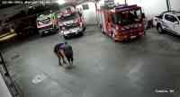 Noticia: VIDEO | Bombero le salvó la vida a una bebé que no podía respirar en Argentina VIDEO | Bombero le salvó la vida a una bebé que no podía respirar en Argentina
