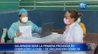 Noticia: Galápagos será la primer provincia en terminar la fase 1 del plan vacunarse Galápagos será la primer provincia en terminar la fase 1 del plan vacunarse