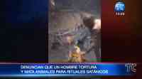Noticia: Hombre usa animales vivos para ritos macabros en el norte del país Hombre usa animales vivos para ritos macabros en el norte del país