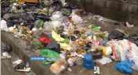 Noticia: Basura por todos lados en sector del norte de Guayaquil Basura por todos lados en sector del norte de Guayaquil