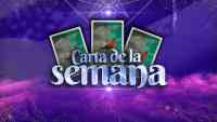 Noticia: Carta de la semana - 19 al 25 de de Julio Carta de la semana - 19 al 25 de de Julio