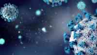 Noticia: Reportan brote de norovirus en Reino Unido: qué es y cuáles son los síntomas Reportan brote de norovirus en Reino Unido: qué es y cuáles son los síntomas