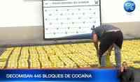 Noticia: Decomisan 445 bloques de cocaína Decomisan 445 bloques de cocaína