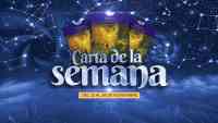 Imagen: Carta de la semana - 22 al 28 de noviembre Carta de la semana - 22 al 28 de noviembre