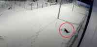 Noticia: Un niño sobrevivió a una caída desde el piso 12 en Rusia Un niño sobrevivió a una caída desde el piso 12 en Rusia
