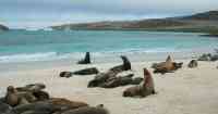 Noticia: Galápagos registra incremento de turistas extranjeros Galápagos registra incremento de turistas extranjeros