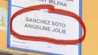 Noticia: Angelina Jolie fue parte de las elecciones 2021 Angelina Jolie fue parte de las elecciones 2021