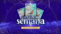Noticia: Carta de la semana - 8 al 14 de noviembre Carta de la semana - 8 al 14 de noviembre