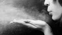 Noticia: "Aliento del diablo": La droga que hace perder la memoria y que es utilizada para estafar "Aliento del diablo": La droga que hace perder la memoria y que es utilizada para estafar