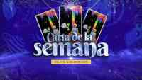 Noticia: Carta de la semana - 6 al 12 de diciembre Carta de la semana - 6 al 12 de diciembre
