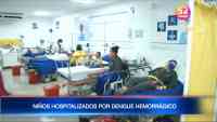 Noticia: Aumentan los casos de dengue hemorrágico en niños Aumentan los casos de dengue hemorrágico en niños