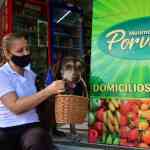 Noticia: VIDEO: Asaltan a perro que hace entregas a domicilio en Colombia VIDEO: Asaltan a perro que hace entregas a domicilio en Colombia