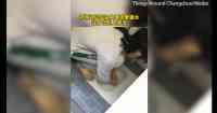 Noticia: VIDEO | Un entrenador obligó a alumnos a lavarse la cara con agua del inodoro VIDEO | Un entrenador obligó a alumnos a lavarse la cara con agua del inodoro