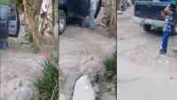 Noticia: VIDEO | Hijo graba el momento cuando su madre es secuestrada en México VIDEO | Hijo graba el momento cuando su madre es secuestrada en México