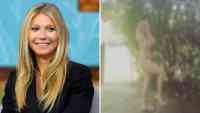 Noticia: FOTO | Gwyneth Paltrow se desnuda para celebrar su cumpleaños FOTO | Gwyneth Paltrow se desnuda para celebrar su cumpleaños