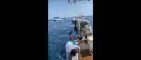 Noticia: VIDEO: Un pez gigante tira por la borda a dos pescadores VIDEO: Un pez gigante tira por la borda a dos pescadores