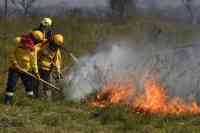 Noticia: Incendios forestales en región de Bolivia consumen 147.254 hectáreas Incendios forestales en región de Bolivia consumen 147.254 hectáreas