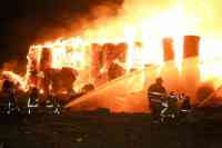 Noticia: VIDEO | Cartonera en Durán será multada tras incendio VIDEO | Cartonera en Durán será multada tras incendio