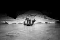 Noticia: Madre de un reo sigue esperando el cuerpo de su hijo tras masacre en la Penitenciaría Madre de un reo sigue esperando el cuerpo de su hijo tras masacre en la Penitenciaría