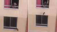 Noticia: Un hombre que amarró del cuello a su perro para "pasearlo" desde segundo piso de un edificio Un hombre que amarró del cuello a su perro para "pasearlo" desde segundo piso de un edificio