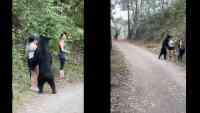 Noticia: VIDEOS: Un oso las sorprendió mientras caminaban por el bosque y una de ellas se tomó una selfie VIDEOS: Un oso las sorprendió mientras caminaban por el bosque y una de ellas se tomó una selfie