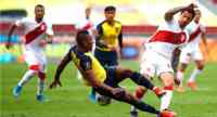 Noticia: Perú vs Ecuador: se jugará con el 70% de aforo del público Perú vs Ecuador: se jugará con el 70% de aforo del público