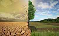Noticia: La humanidad agota el sábado los recursos planetarios del año La humanidad agota el sábado los recursos planetarios del año