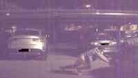 Noticia: VIDEO | Un Tesla graba el momento en que dos ladrones roban un Porsche VIDEO | Un Tesla graba el momento en que dos ladrones roban un Porsche