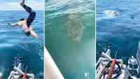 Noticia: VIDEO: Un joven se lanza a nadar con un inofensivo 'tiburón peregrino' y al poco descubre que fue "una mala idea" VIDEO: Un joven se lanza a nadar con un inofensivo 'tiburón peregrino' y al poco descubre que fue "una mala idea"