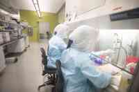 Noticia: China busca que Chile sea el “gran proveedor” de sus vacunas contra el coronavirus en América Latina China busca que Chile sea el “gran proveedor” de sus vacunas contra el coronavirus en América Latina