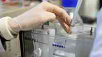 Noticia: Rusia desarrolla un 'yogurt' contra el coronavirus que crea anticuerpos Rusia desarrolla un 'yogurt' contra el coronavirus que crea anticuerpos